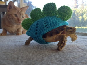 Stegosaurus
